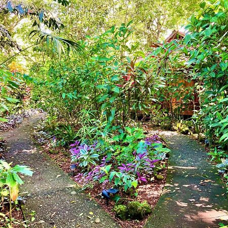 Coral Hill Bungalows Cahuita Exteriör bild