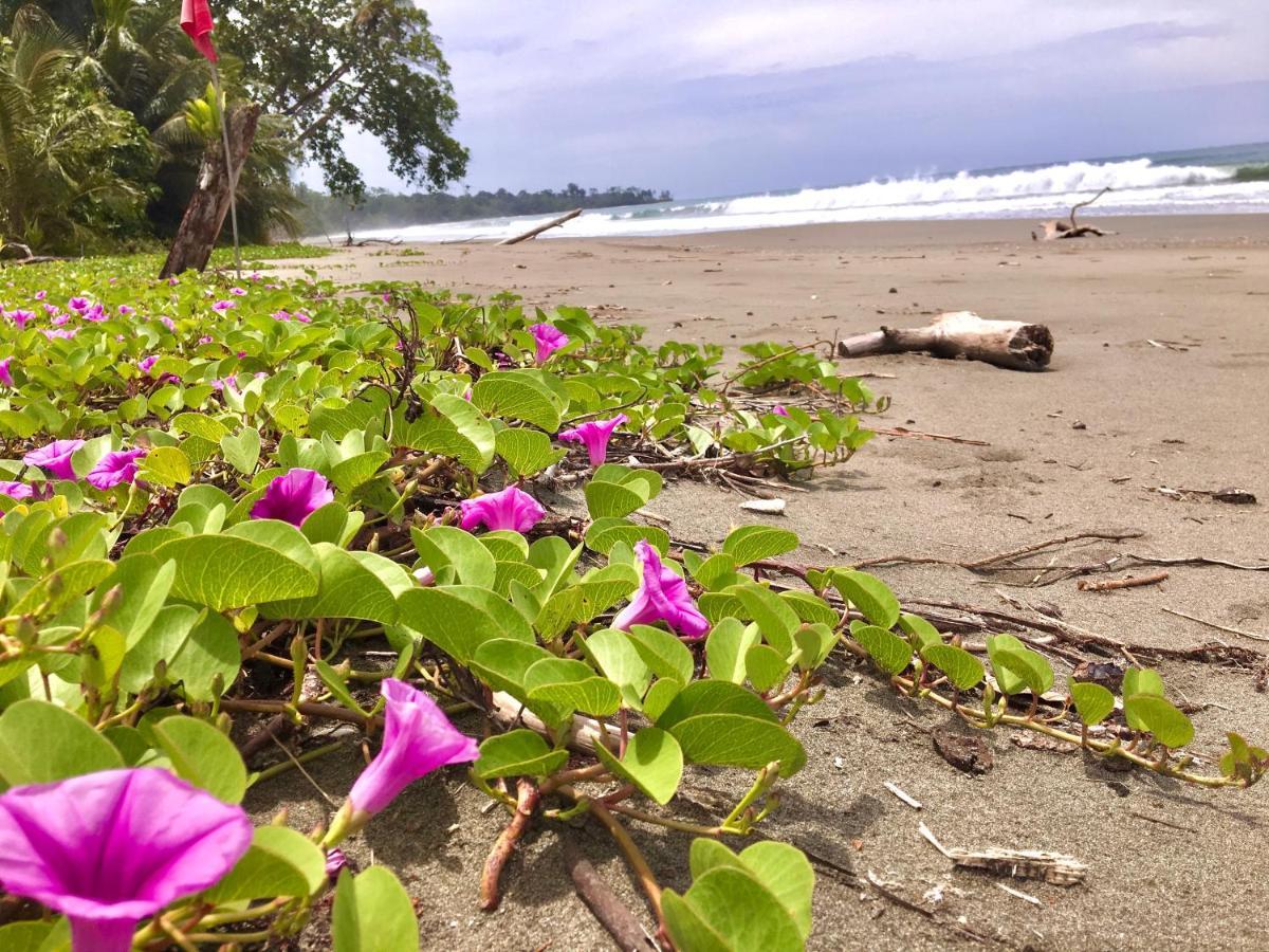 Coral Hill Bungalows Cahuita Exteriör bild