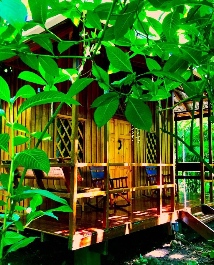 Coral Hill Bungalows Cahuita Exteriör bild