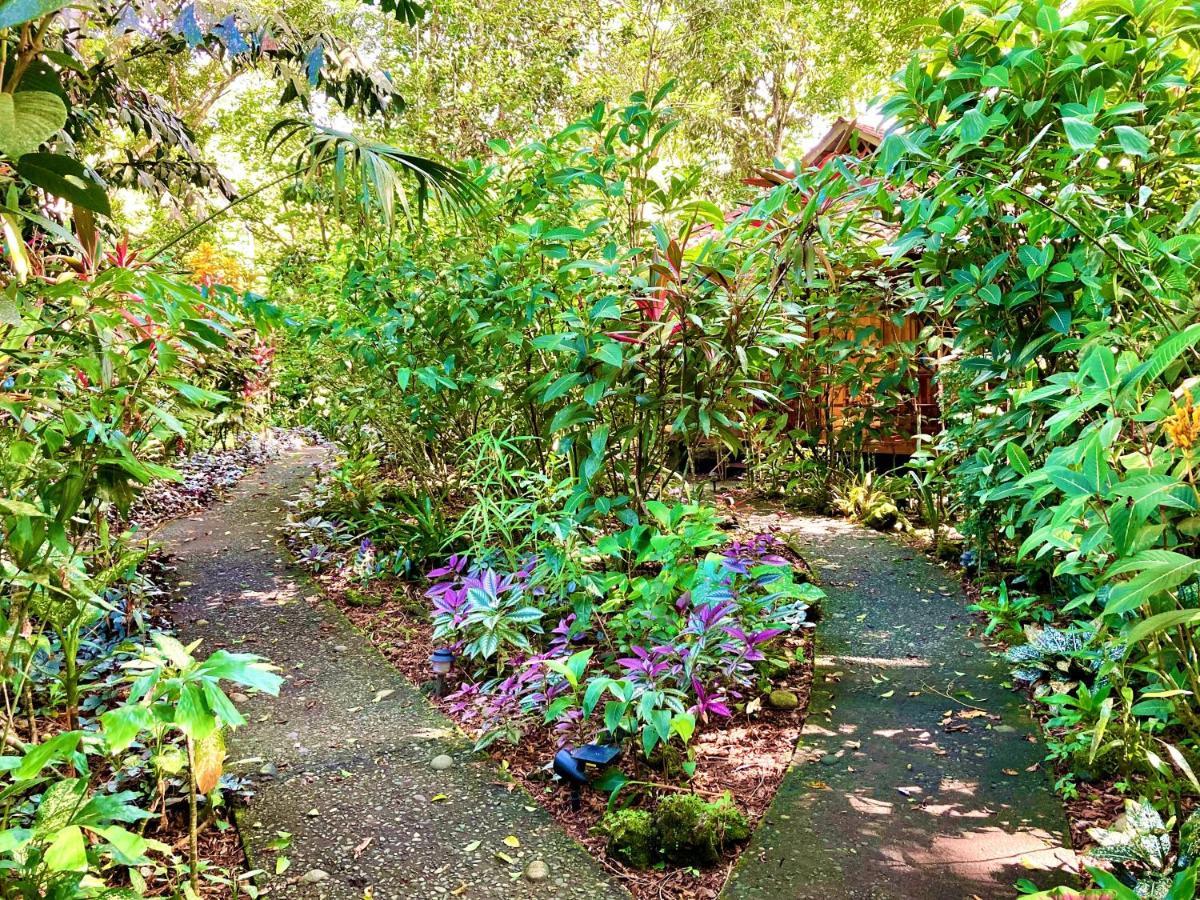 Coral Hill Bungalows Cahuita Exteriör bild