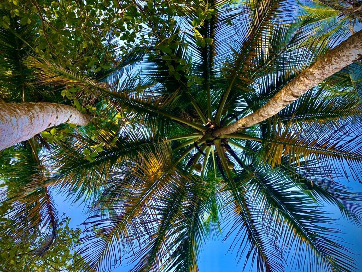 Coral Hill Bungalows Cahuita Exteriör bild