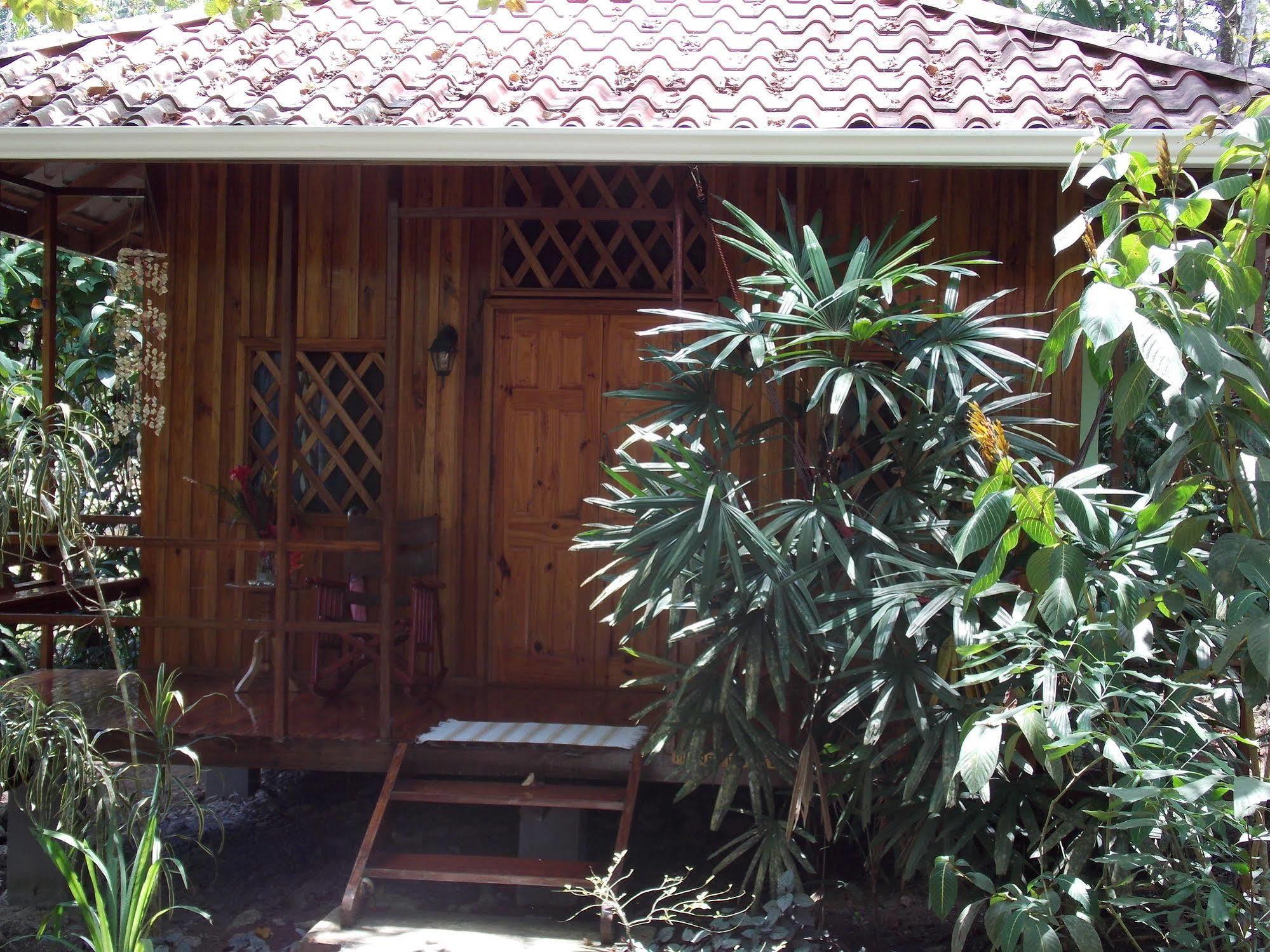 Coral Hill Bungalows Cahuita Exteriör bild