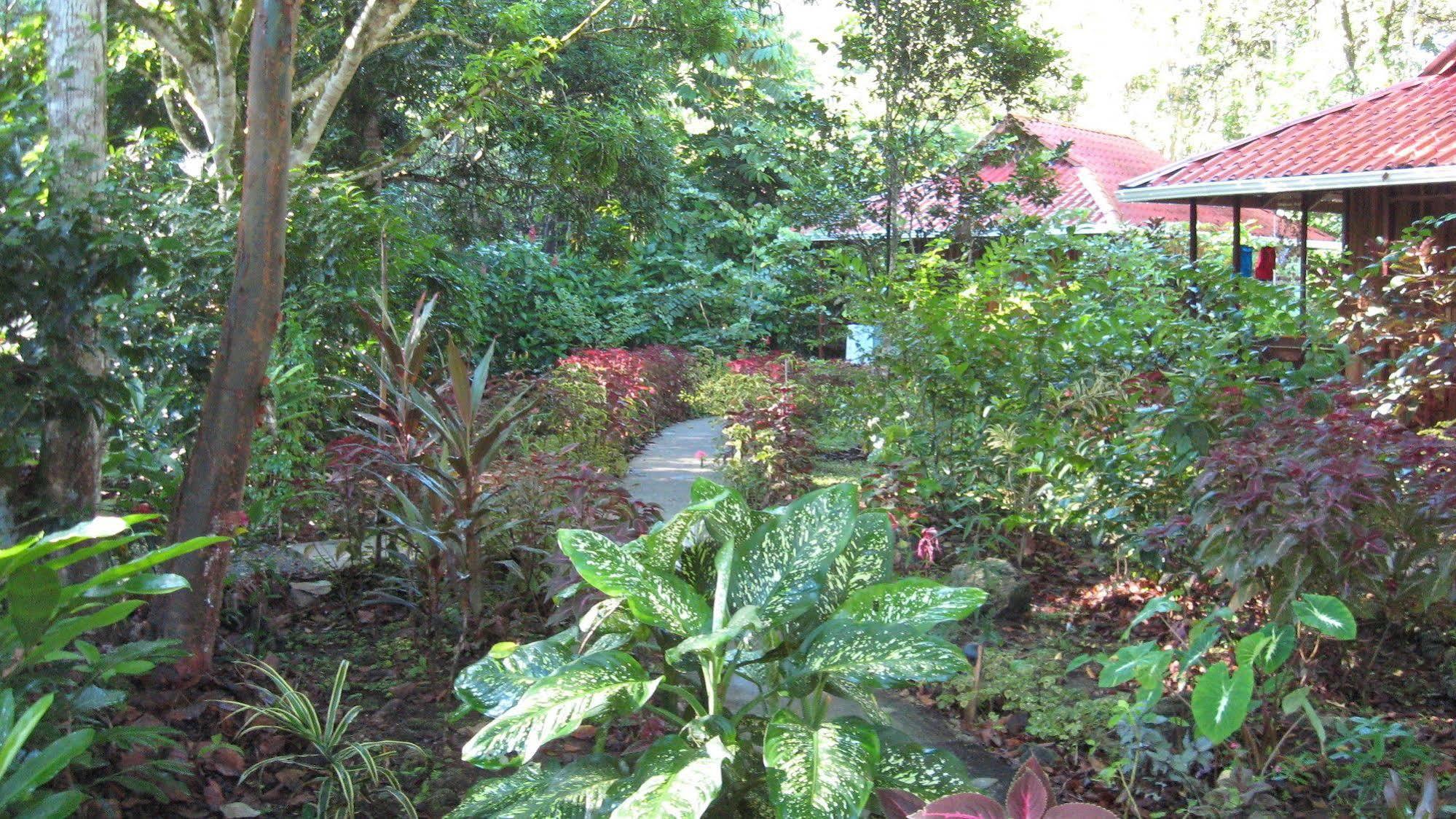 Coral Hill Bungalows Cahuita Exteriör bild