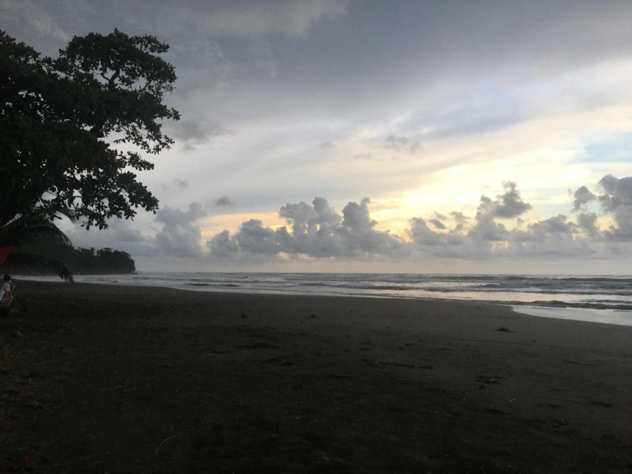 Coral Hill Bungalows Cahuita Exteriör bild