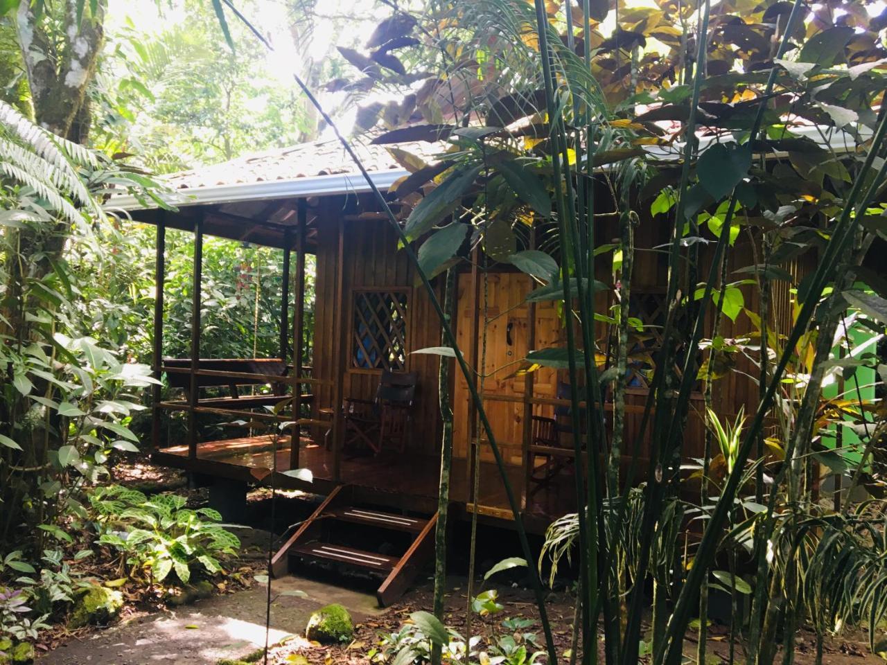 Coral Hill Bungalows Cahuita Exteriör bild
